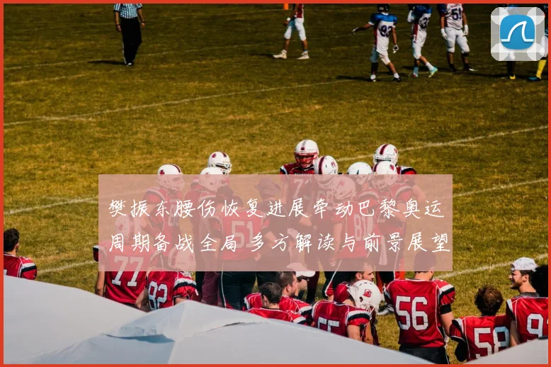 樊振东腰伤恢复进展牵动巴黎奥运周期备战全局 多方解读与前景展望