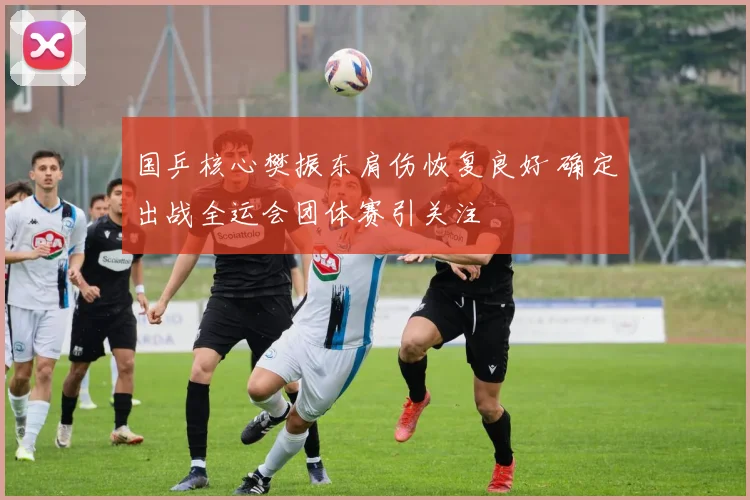 国乒核心樊振东肩伤恢复良好 确定出战全运会团体赛引关注