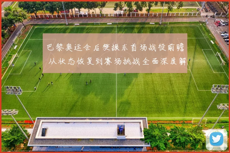 巴黎奥运会后樊振东首场战役前瞻 从状态恢复到赛场挑战全面深度解析